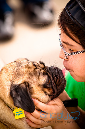 Pugapalooza2010-160