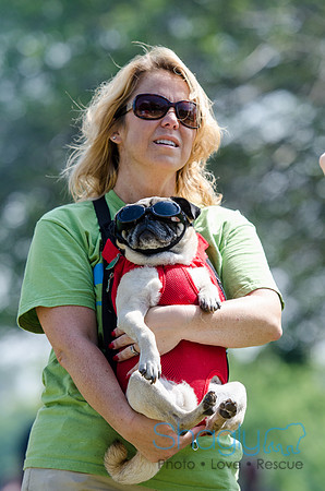 Pugapalooza 2012-98