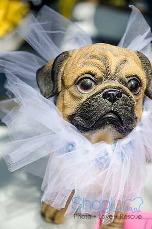 Pugapalooza 2012-150