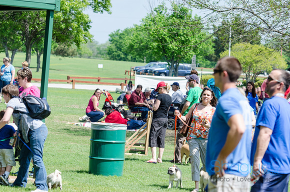 Pugapalooza 2012-136