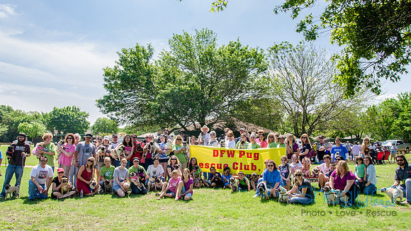 Pugapalooza 2012-139