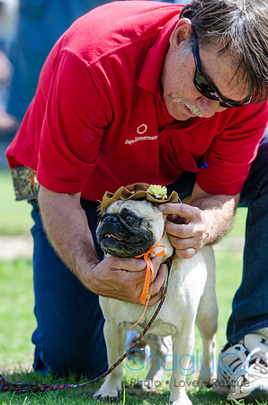 Pugapalooza 2012-97