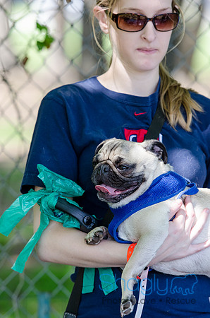 Pugapalooza 2012-132