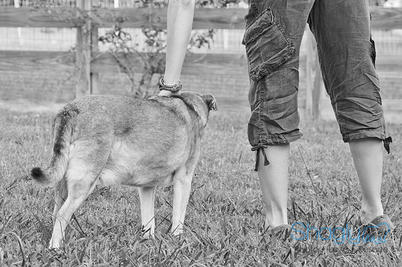 Solo and Family-23