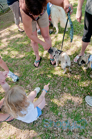 pugapalooza2011-32