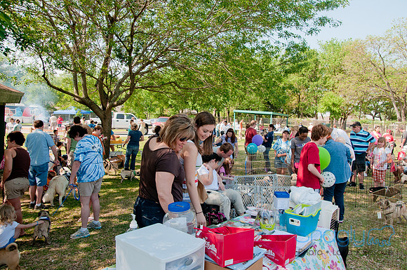 pugapalooza2011-30