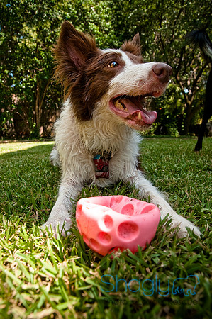 jean-luc and sophies birthday-13