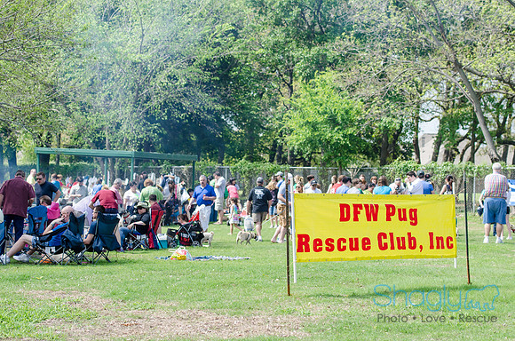 Pugapalooza 2012-68