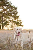 Sherman and Olivia-5
