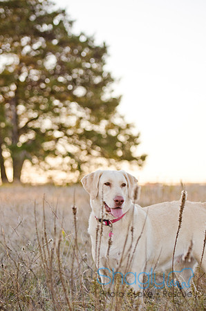 Sherman and Olivia-5