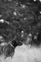 Sherman and Olivia-20