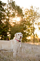 Sherman and Olivia-13