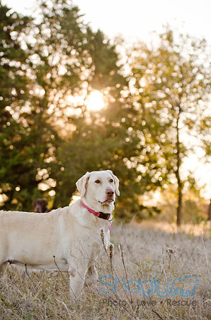 Sherman and Olivia-13