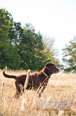 Sherman and Olivia-39