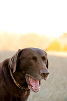 Sherman and Olivia-7