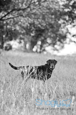 Sherman and Olivia-27