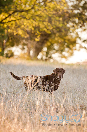 Sherman and Olivia-26