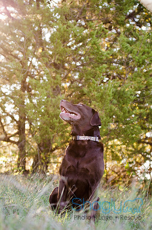 Sherman and Olivia-81