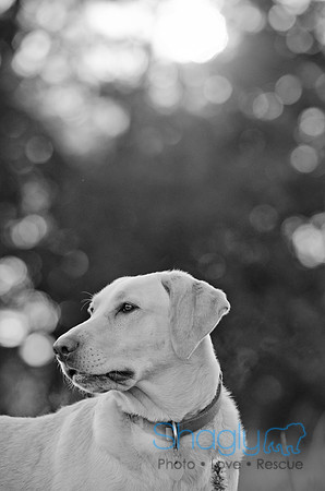 Sherman and Olivia-16