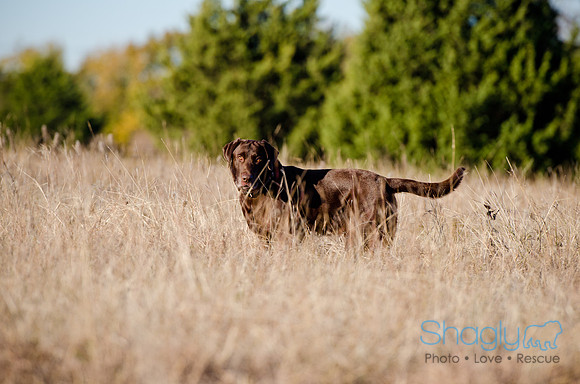 Sherman and Olivia-68