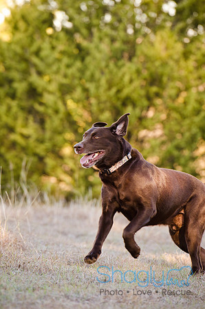 Sherman and Olivia-59