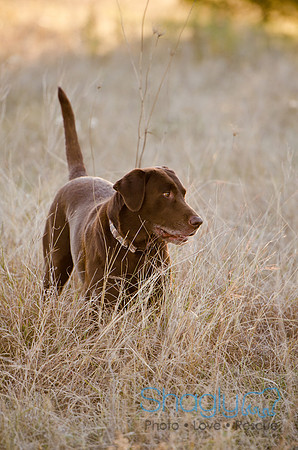Sherman and Olivia-23