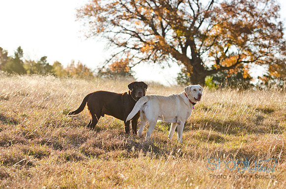 Sherman and Olivia-72