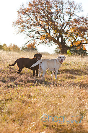 Sherman and Olivia-71
