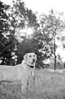 Sherman and Olivia-14