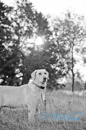 Sherman and Olivia-14