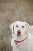 Sherman and Olivia-3