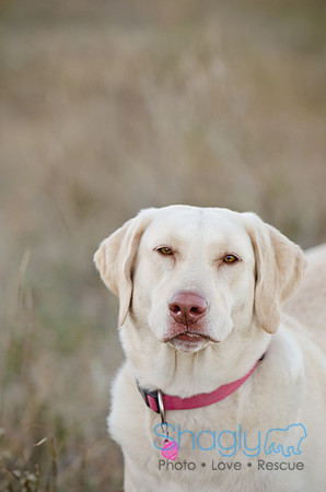 Sherman and Olivia-3