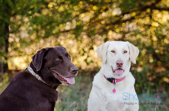 Sherman and Olivia-97
