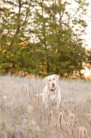 Sherman and Olivia-11