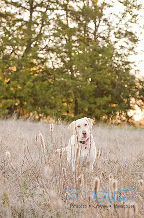 Sherman and Olivia-11