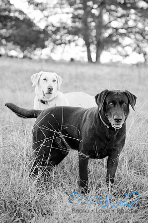 Sherman and Olivia-31