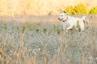 Sherman and Olivia-1
