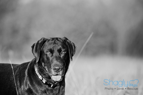 Sherman and Olivia-47