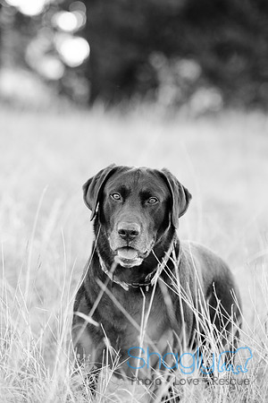 Sherman and Olivia-29