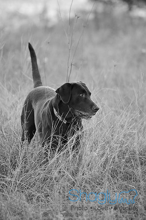 Sherman and Olivia-24
