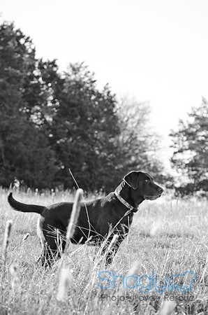 Sherman and Olivia-40