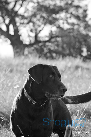 Sherman and Olivia-38