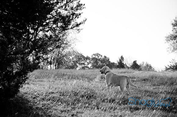Sherman and Olivia-33