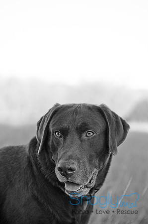 Sherman and Olivia-9