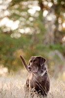 Sherman and Olivia-17