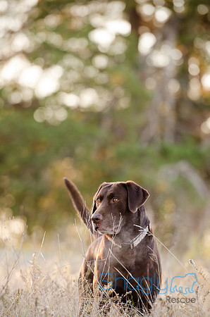 Sherman and Olivia-17