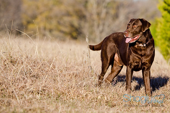 Sherman and Olivia-65