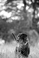 Sherman and Olivia-18