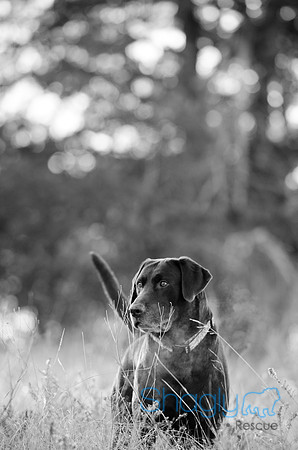 Sherman and Olivia-18
