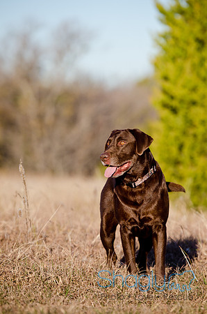 Sherman and Olivia-62